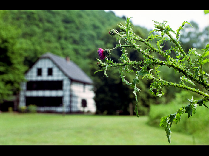 © Norbert Michailowitsch, Solingen